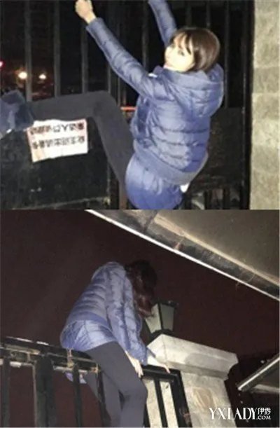 沈梦辰深夜爬铁门为哪般与海涛恋情是否无疾而终