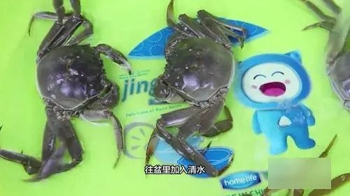 大闸蟹怎样保鲜存活