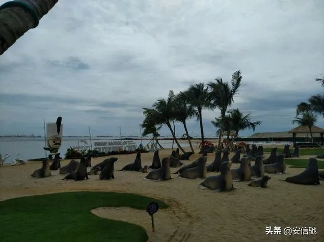 森林城市的户型怎么样？带父母过去住得惯吗？