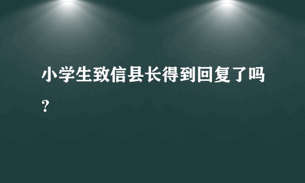 小学生致信县长得到回复了吗？