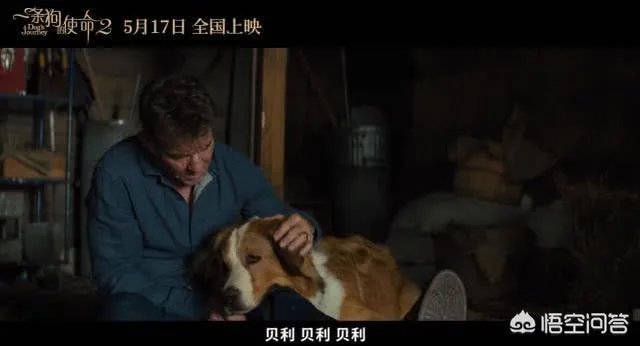 如何评价电影《一条狗的使命2》？