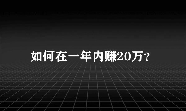 如何在一年内赚20万？