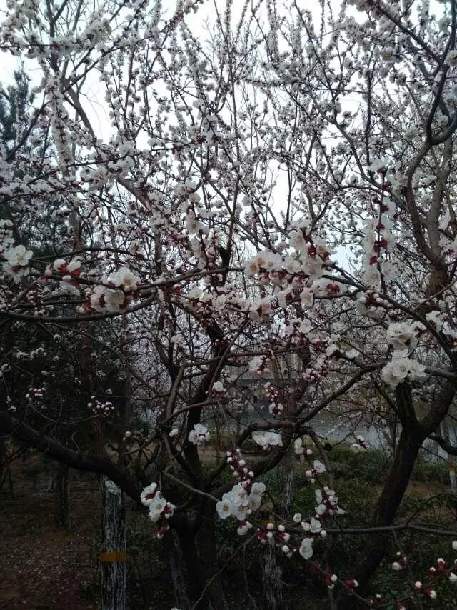 写一句你最中意的诗词歌赋吧？