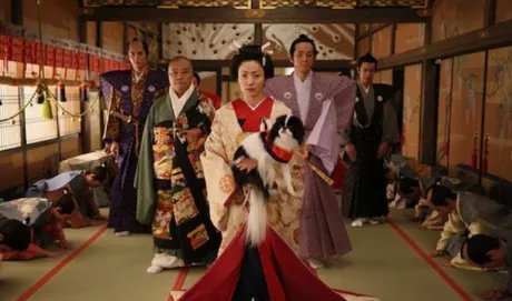 他是江户时代的大将军，德川纲吉的一生有多奇葩？