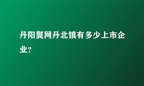 丹阳翼网丹北镇有多少上市企业？