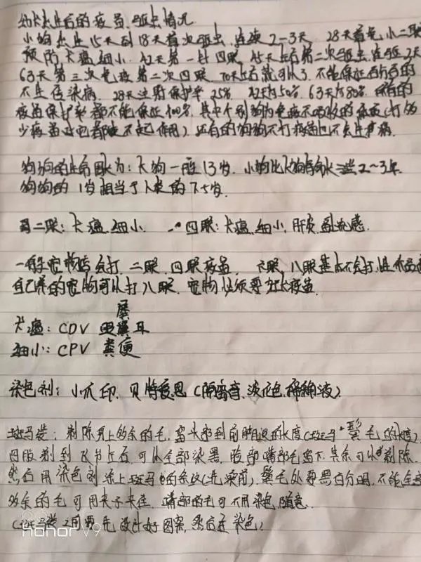 想学习宠物美容该去哪里学啊