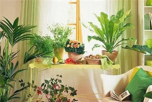 新房多久可以入住