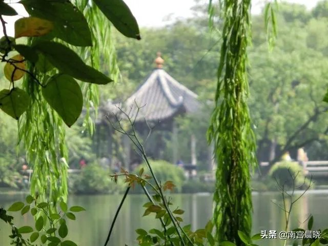 三潭印月有什么特色？