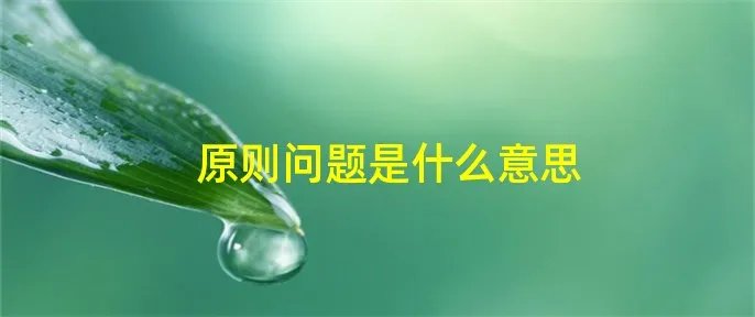 原则问题是什么意思