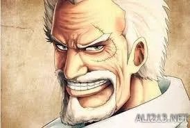 谁说海贼王是恶魔果实能力者的天下？还有我们呢！