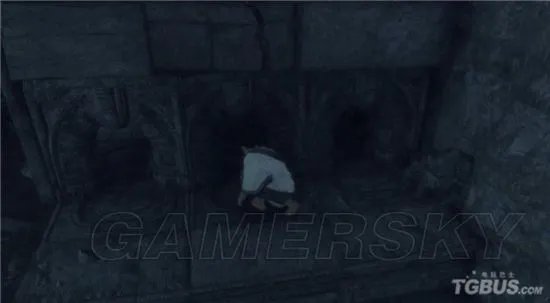 《最后的守护者》图文攻略 全章节图文流程攻略