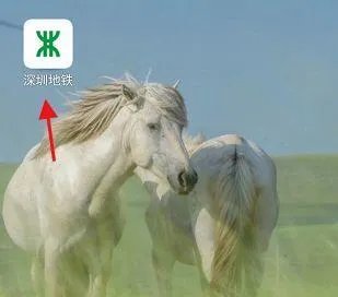 深圳地铁票价查询？