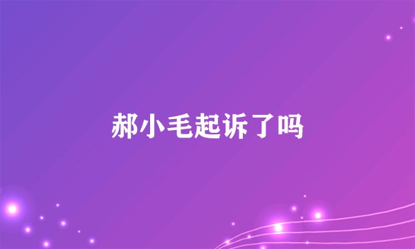 郝小毛起诉了吗