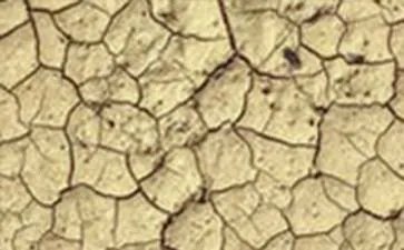 干旱反义词是什么