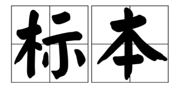 标本的意思