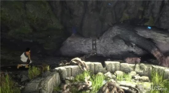 《最后的守护者》图文攻略 全章节图文流程攻略