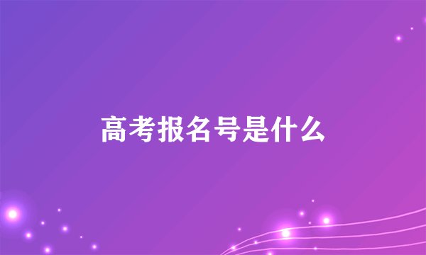 高考报名号是什么