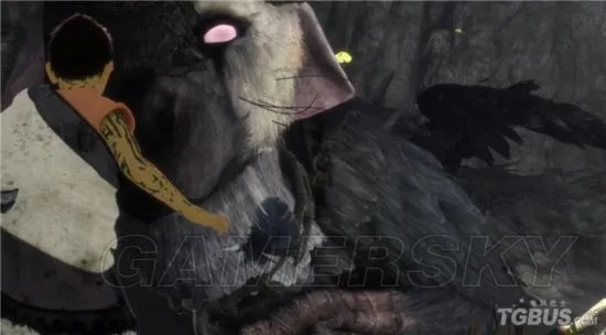 《最后的守护者》图文攻略 全章节图文流程攻略