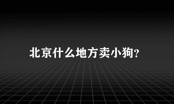 北京什么地方卖小狗？