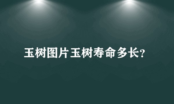 玉树图片玉树寿命多长？