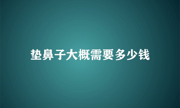垫鼻子大概需要多少钱