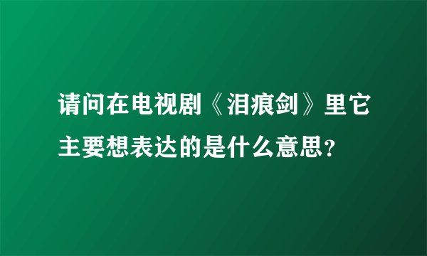 请问在电视剧《泪痕剑》里它主要想表达的是什么意思？