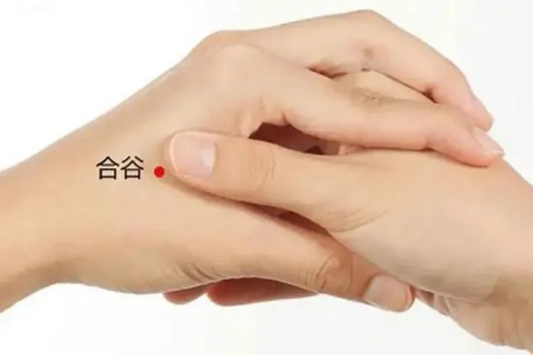 合谷的准确位置图和作用禁忌