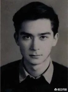 论相貌，王德民和何鸿燊谁帅？