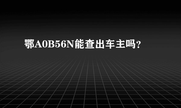 鄂A0B56N能查出车主吗？