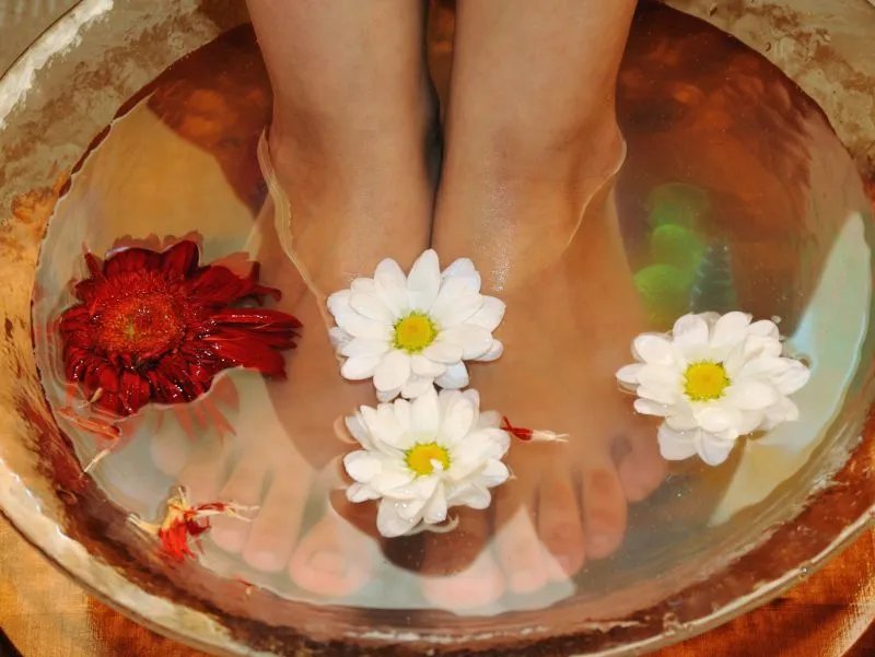 养阴的方法有哪些