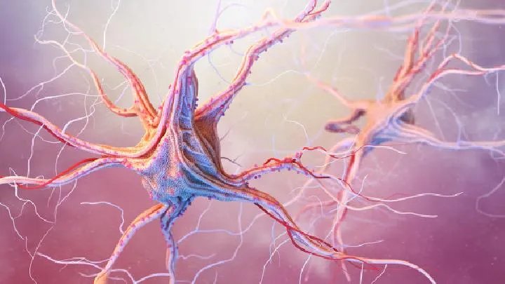 癫痫患儿参加体育锻炼的重要性