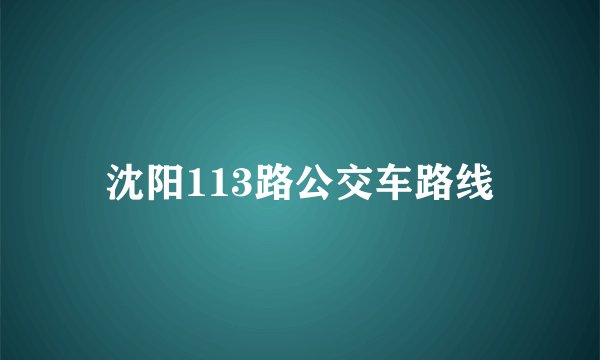 沈阳113路公交车路线