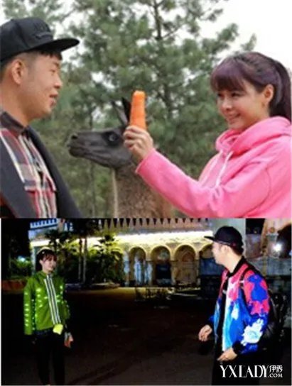 沈梦辰深夜爬铁门为哪般与海涛恋情是否无疾而终