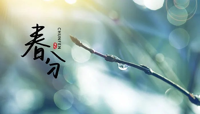 春分吃什么食物