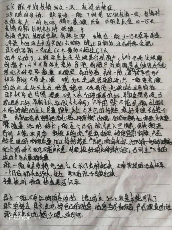 想学习宠物美容该去哪里学啊