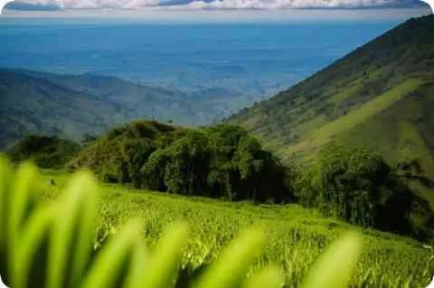 应聘理由怎么写