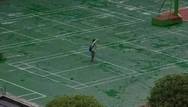 小学生为什么站雨中敬礼？