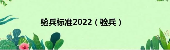 验兵标准2022（验兵）