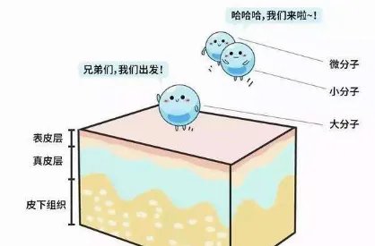 瑞蓝玻尿酸价格是多少