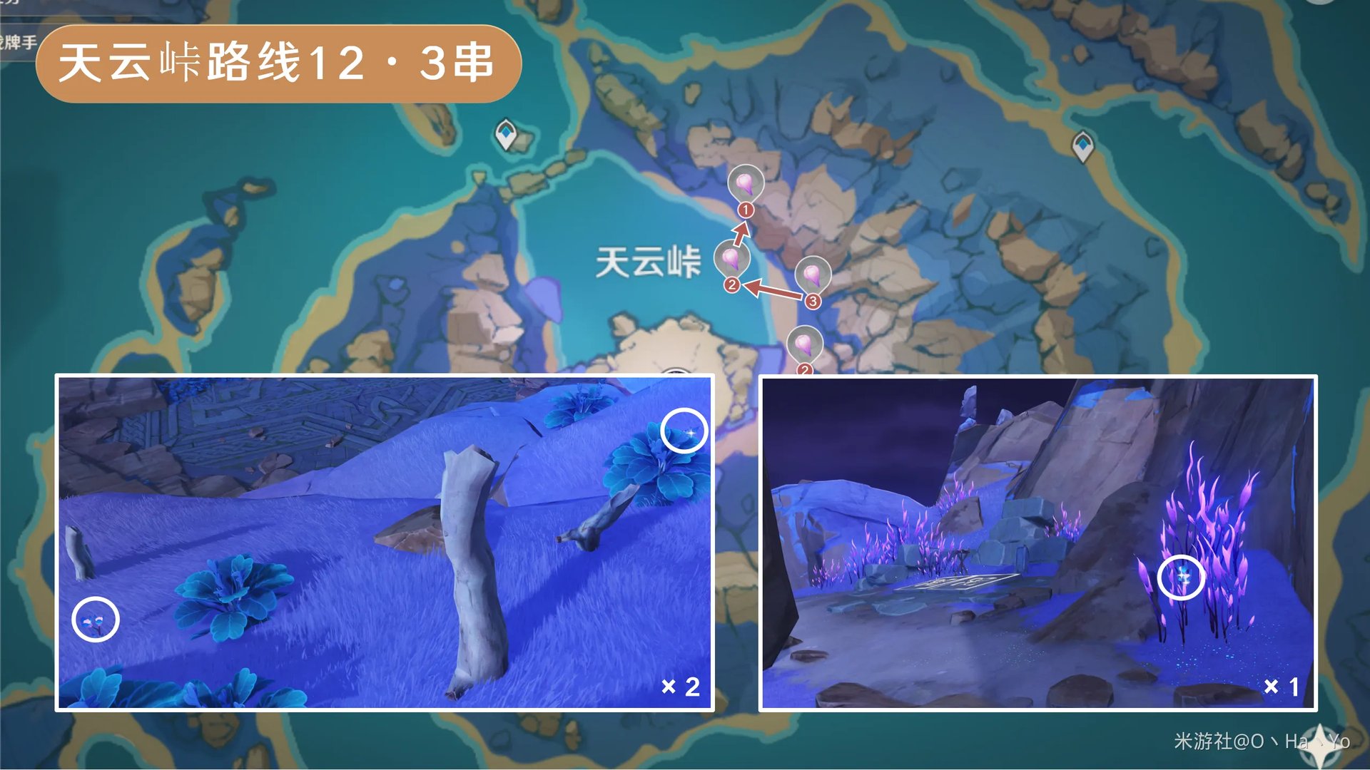 原神天云草实采集路线2024