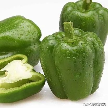 萨菲罗彩椒有什么特点？它的栽培技术要点有哪些？