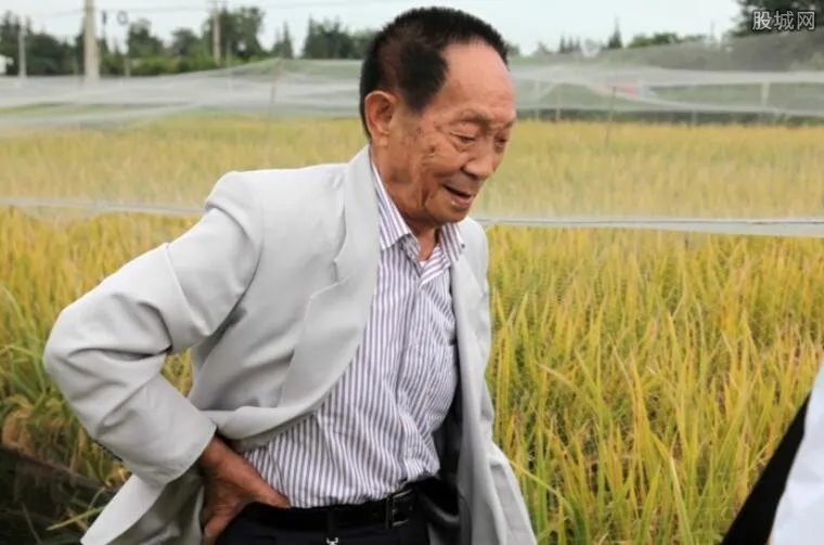 华为与袁隆平合作 布置要素物联网系统