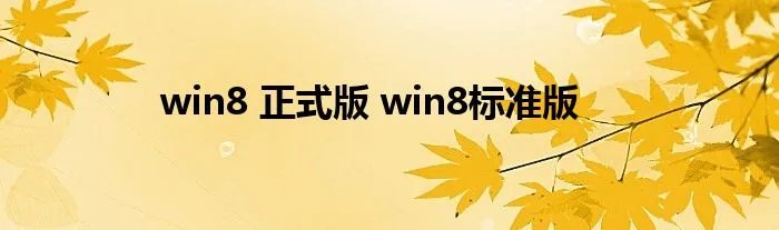 win8 正式版 win8标准版