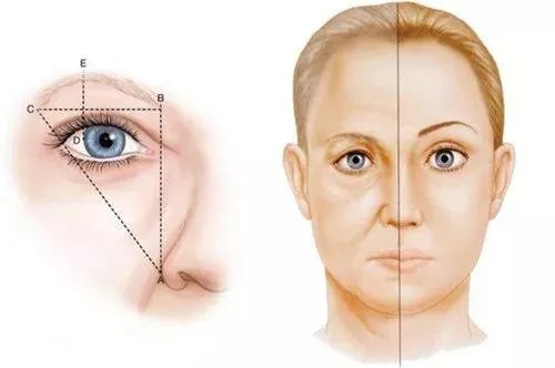 十个纹眉九个后悔图片