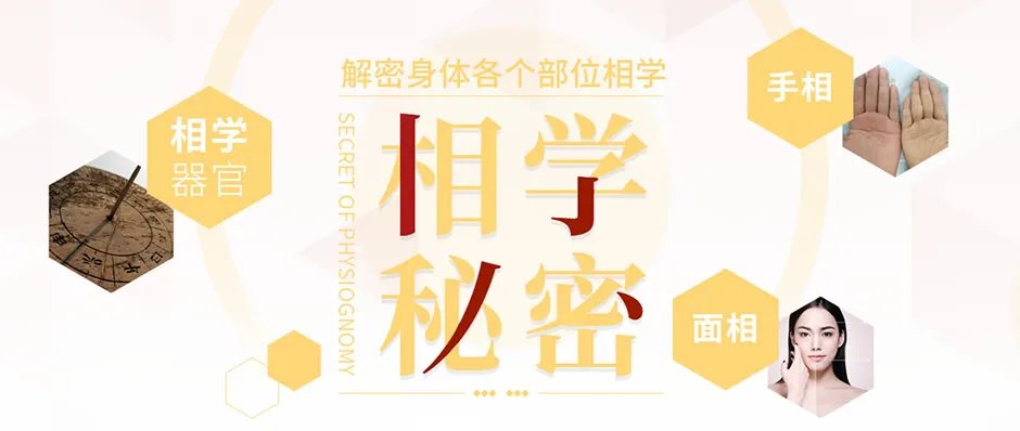 【相学大全】如何给一个人看相？解密身体各个部位相学与运势