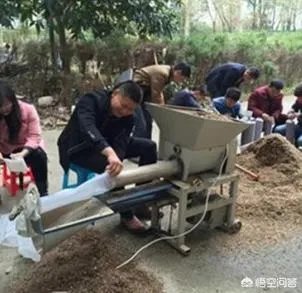 食用菌从种植到加工需要用到什么设备?