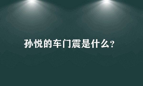 孙悦的车门震是什么？