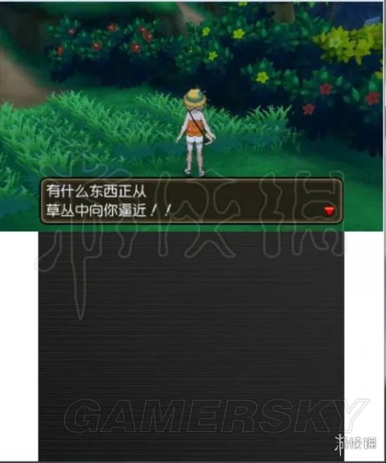 《口袋妖怪究极日月》图文攻略 全任务图文流程攻略