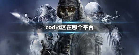 cod战区在哪个平台