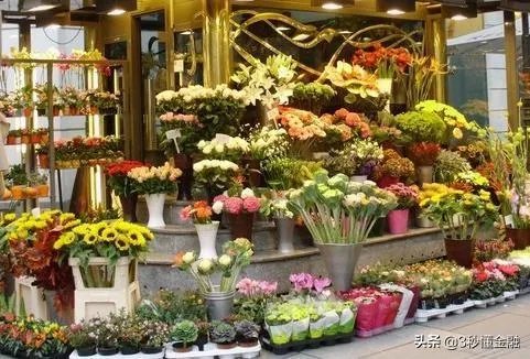 在苏州开一家花店，大概需要多少钱啊，怎么做？